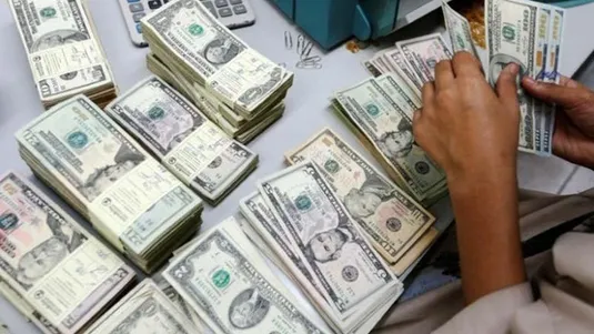 شناسایی ۲۲۵ متخلف ارزی با ۵۳ میلیارد یورو تعهد
