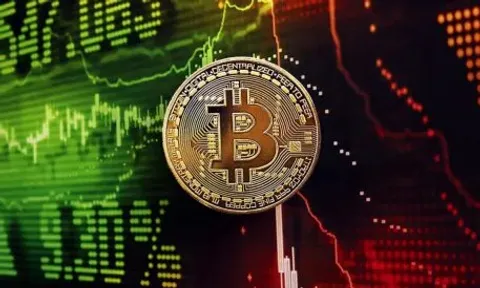 بزرگترین دارندگان بیت‌کوین جهان کدامند؟