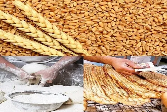 صرفه&zwnj;جویی۹۶هزار میلیاردی با اجرای طرح هوشمندسازی یارانه نان