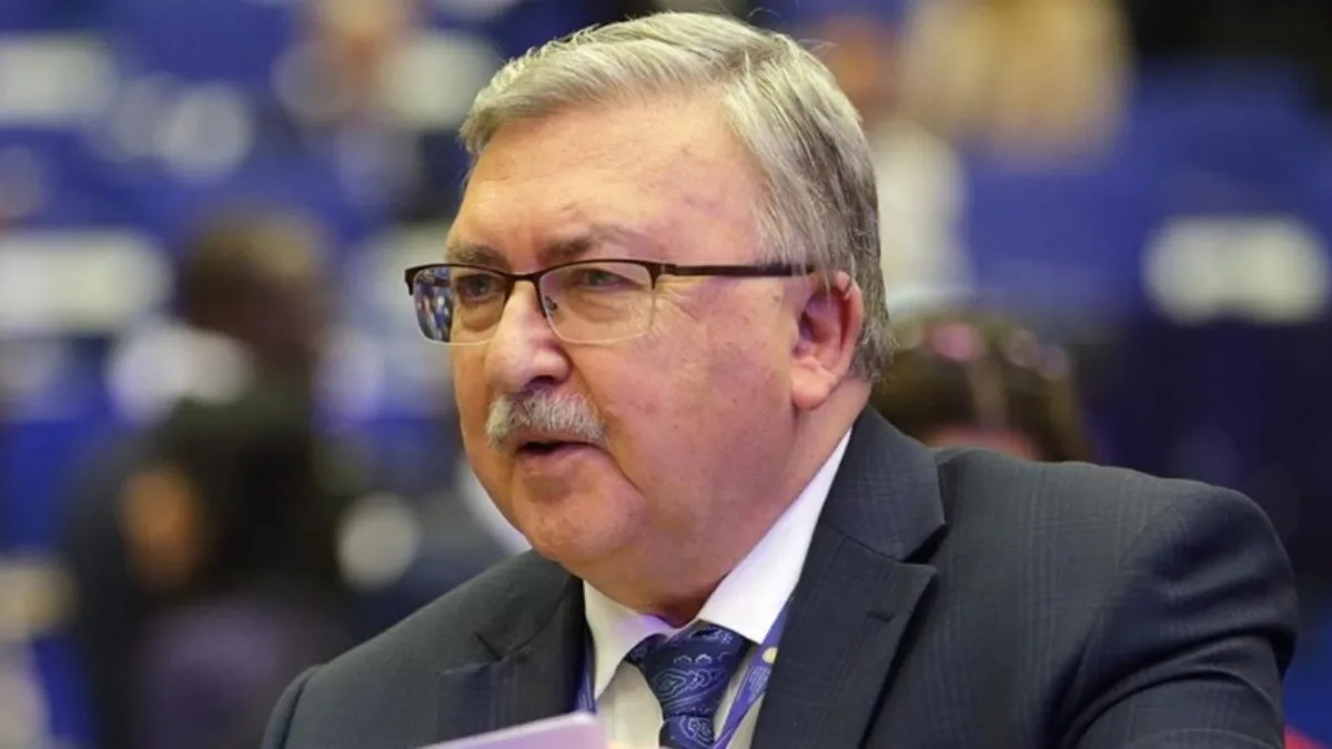 اولیانوف: فعالیت‌های آژانس انرژی اتمی در نیروگاه بوشهر از سر گرفته شد