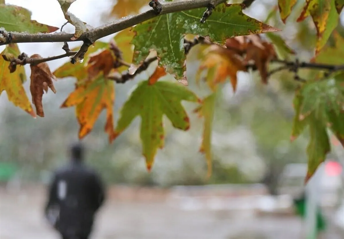 گزارش هواشناسی امروز ۹ مهر ۱۴۰۴