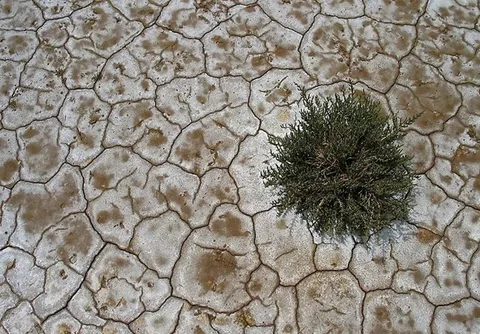 افزایش نگران کننده شوری منابع آب و خاک کشور