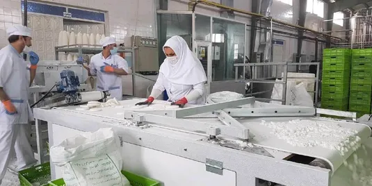 اصلاح الگوی کشت و کاهش واردات با تشویق سرمایه&zwnj;گذاری در کارخانه&zwnj;های قند