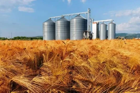 وزارت جهاد به&zwnj;تنهایی توان حفظ امنیت غذایی ندارد؛ ۴ دستگاه دیگر هم مسئولند