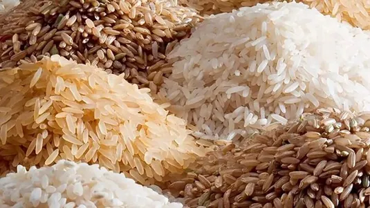 بی&zwnj;اعتنایی بانک مرکزی به تصمیمات ارزی دولت در حوزه واردات برنج