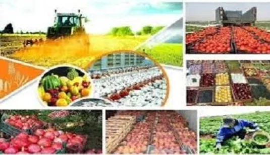طرح تاب&zwnj;آوری کشاورزی در دستور بررسی شورای نگهبان