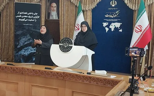 مهاجرانی: &laquo;FATF&raquo; با هماهنگی مجمع تشخیص در حال پیگیری است