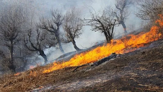 ۱۲۰۰ تیم عملیانی و ۵۰۰ هزار همیار طبیعت در آماده باش