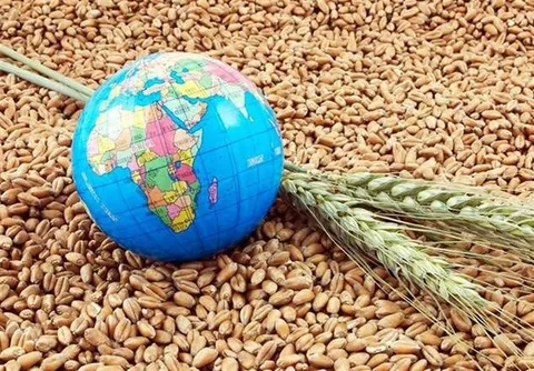 رکوردشکنی قیمت مواد غذایی در دنیا به دلیل جنگ علیه ایران