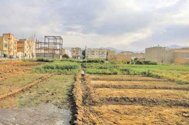ثبت‌ نام واگذاری ۲۳۰ هزار قطعه زمین روستایی آغاز می‌شود | زمان و شرایط ثبت‌نام زمین روستایی ۱۴۰۵