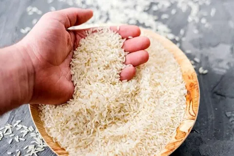 افزایش ۱۶ درصدی تولید برنج در کشور