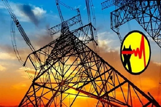 قیمت برق ایران معادل ۱۳ بارگرم کردن غدا با مایکروفراست