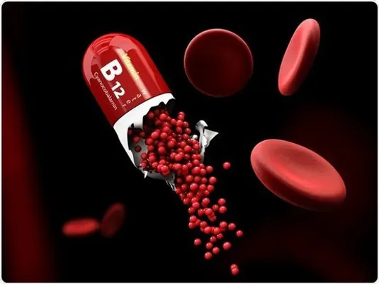بهترین مواد غذایی برای تامین ویتامین B12