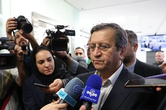 وزیر اقتصاد: مشکل ترخیص کالای وارد کنندگان رفع می&zwnj;شود