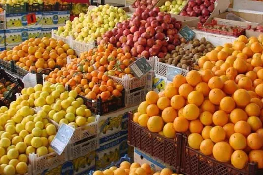 پیش&zwnj;بینی تولید ۸ میلیون تن مرکبات برای امسال
