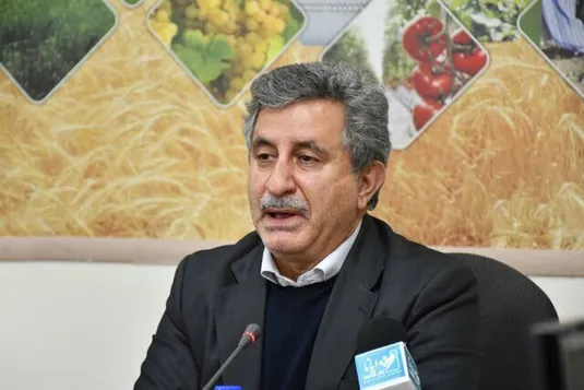 ایران ظرفیت تولید بسیاری از محصولات وارداتی را دارد