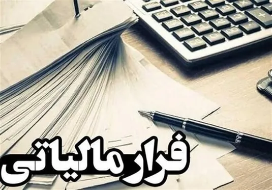 مقابله با دانه&zwnj;درشت&zwnj;ها از مسیر هوشمندسازی نظام مالیاتی