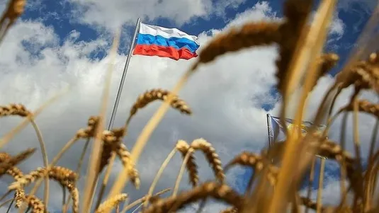 حراج بزرگ گندم در روسیه؛ ایران فورا وارد عمل می&zwnj;شود