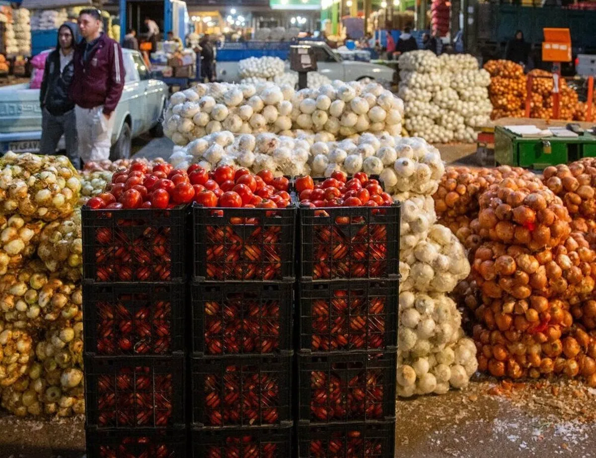 آسیب کشاورزی از ممنوعیت‌های صادرات و ضعفِ فرآوری/ برنامه جامع صادرات چه شد؟