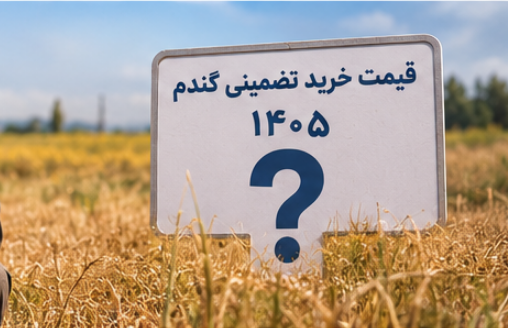قیمت نهایی گندم
