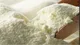 دپوی شیرخشک صنعتی در کارخانجات به ۶۳ هزارتن رسید
