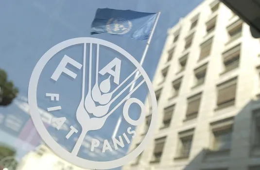 فائو: دسترسی به غذا در ایران ۲ برابر متوسط جهانی&nbsp;