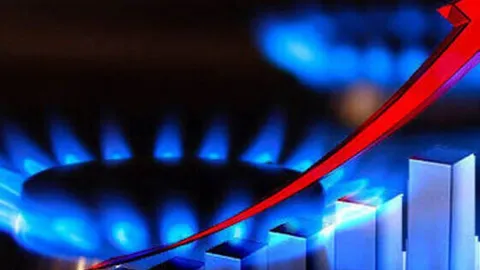 پیشتازی بخش خانگی در مصرف گاز؛ ۲.۴۴ میلیارد مترمکعب در ۷ روز