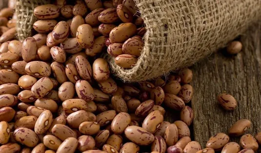 ۱۱۳ درصد اختلاف قیمت لوبیا در بازار با وجود تخصیص ارز مبادله&zwnj;ای
