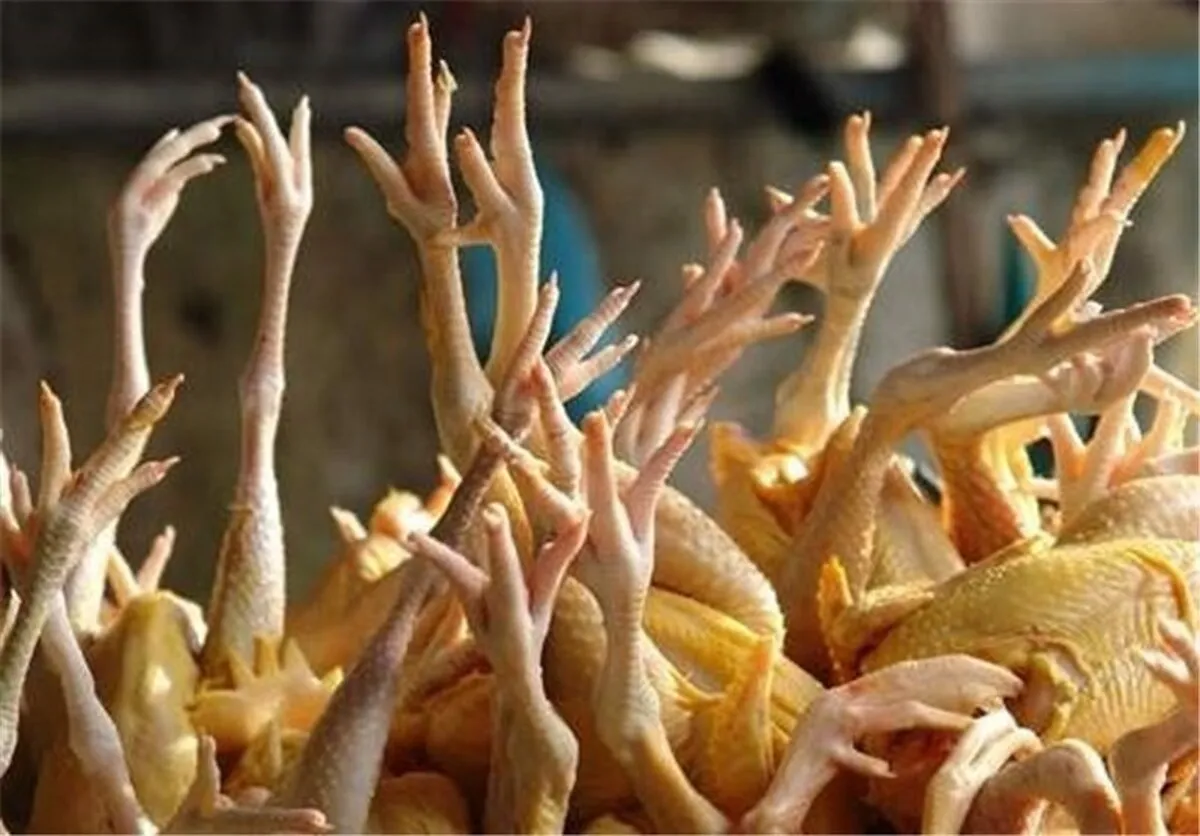 ظرفیت صادرات ۵۰ هزار تن پای مرغ ایران به چین