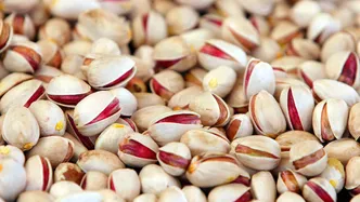 صادرات ۲۸ میلیون دلار پسته ایران به چین در ۳ ماه