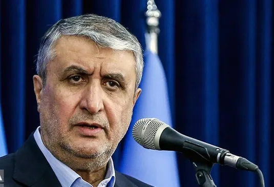 اسلامی: برنامه هسته&zwnj;ای ایران شفاف و تحت نظر آژانس است