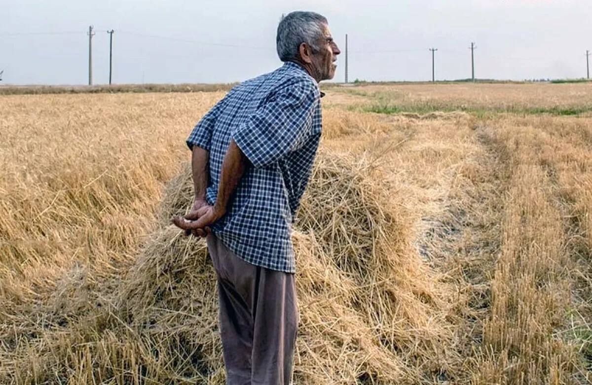 ۱۰ راهکار برای تغییر خشکسالی به کم‌آبی/ تشنگی کشاورزی روزی بحران‌ می‌شود