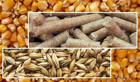 افزایش تولید نهاده&zwnj;های دامی به ۳۲ میلیون تن