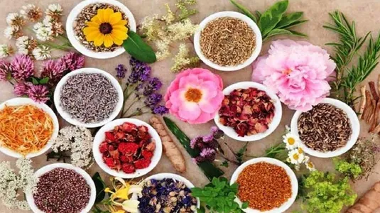 افزایش ۳۷ درصدی سطح زیرکشت گیاهان دارویی