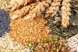وابستگی امنیت غذایی جهان به تنش‌های ژئوپلیتیکی