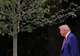 مرگ ترامپ صحت دارد؟