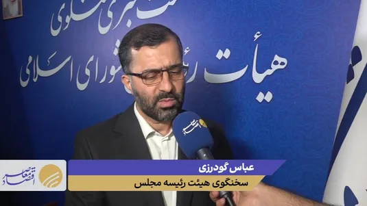 ورود مجلس و نهادهای نظارتی به گرانی کالاهای بی&zwnj;ارتباط با ارز ترجیحی