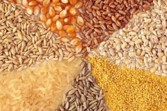 سقف جدید نرخ ارز نهاده&zwnj;های دام و طیور اعلام شد