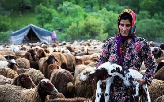 خدمات حقوقی عشایر رایگان شد