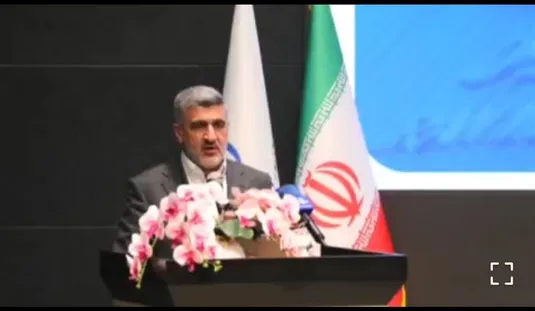 بورس کالا قیمت&zwnj;گذاری نمی&zwnj;کند
