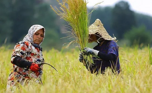 چالش&zwnj;های تحقق خودکفایی ۹۰ درصدی کشاورزی ایران