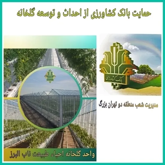سرمایه&zwnj;گذاری ۱۰۰۰ میلیاردی بانک کشاورزی در یک طرح مدرن گلخانه&zwnj;ای