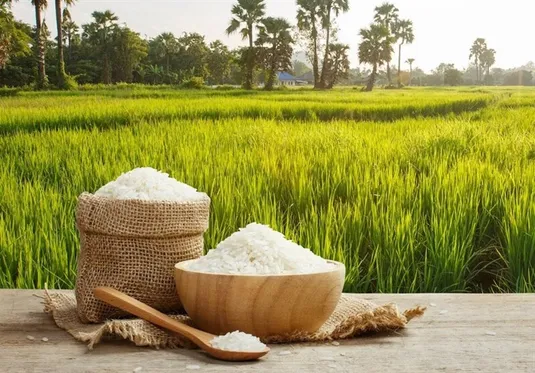 قیمت&zwnj;های جدید برنج اعلام شد