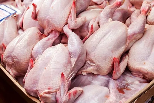 بازار مرغ از اواسط آبان متعادل می&zwnj;شود