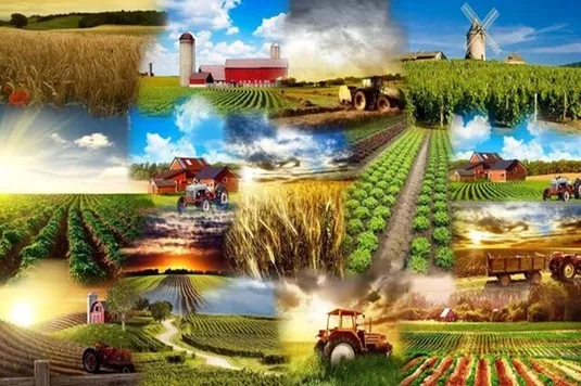 ۲۰ درصد نیازهای کشاورزی کشور از طریق واردات تامین می&zwnj;شود